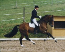 Deckhengst Ringo Starr (Holsteiner, 1986, von Ricardo)