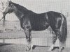 stallion Granat (Hanoverian, 1970, from Grande)
