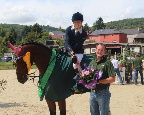 jumper Con Finley (Luxembourg horse, 2008, from Con Sherry)