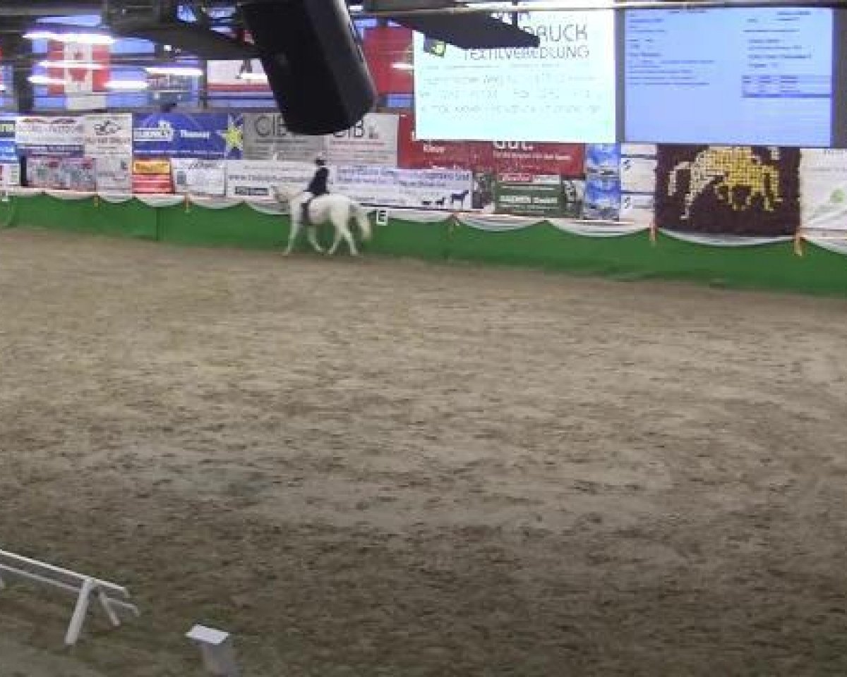 dressage horse Laudon H (Rhinelander, 1995, from Lancer II)