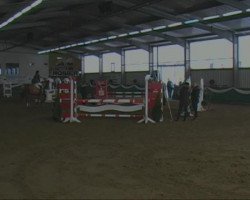 jumper Willem van 't Kloosterholt (KWPN (Royal Dutch Sporthorse), 2003, from Marlon)