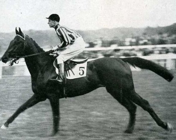 stallion Victrix xx (Thoroughbred, 1934, from Kantar xx)