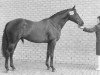 stallion Pastrocio xx (Thoroughbred, 1966, from Almoro xx)