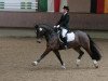 Dressurpferd Brooks Husar (Welsh-Cob (Sek. D), 1996, von Harlequin)