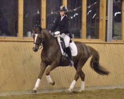 dressage horse Amore Mio 17 (Hessian Warmblood, 2002, from Almaz)