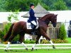 stallion Riant 116 FIN (KWPN (Royal Dutch Sporthorse), 1998, from Jazz)