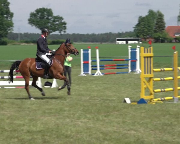 Reitturnier Alvern 2022