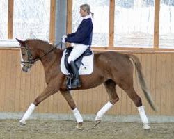 broodmare Arielle (Hanoverian, 2007, from Almaz)