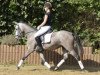 horse Malibu (German Riding Pony, 2008, from Mondego)