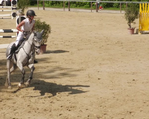 Reitturnier Winnenden 2022