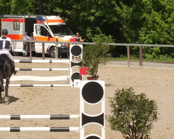 Reitturnier Winnenden 2022