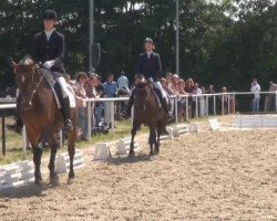 Pferd Faye De La Cour Princiere (Oldenburger, 2005, von Fürst Heinrich)