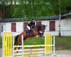 jumper Chica 207 (Oldenburg show jumper, 2016, from Conthargos)