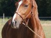 dressage horse Pippilotta Viktualia (Oldenburg, 2004)