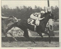 broodmare Lalun xx (Thoroughbred, 1952, from Djeddah xx)