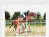 broodmare Lawaihaway (Oldenburg show jumper, 2008, from Lordanos)