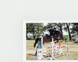 jumper Gil Ass (Deutsches Sportpferd, 2008, from Con Sherry)