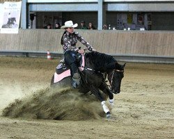 Pferd FHS Rising Star (Quarter Horse, 2005, von Great Holly Pine)