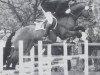 stallion L'Ombre (Holsteiner, 1986, from Lorenz)