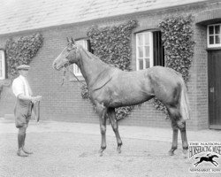 broodmare Myrobella xx (Thoroughbred, 1930, from Tetratema xx)