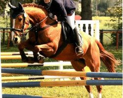 horse Bijou Valuablé (Oldenburg, 1996, from Borax)