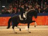 stallion Netto (KWPN (Royal Dutch Sporthorse), 2003, from Negro)