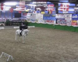 dressage horse Naschuk (German Warmblood, 2006, from Nock-Out)