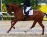 dressage horse Delight in Red (Oldenburg, 2018, from Desperado)