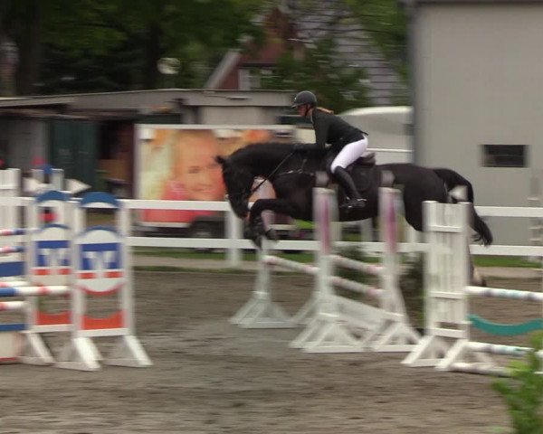 Reitturnier Mildstedt 2022