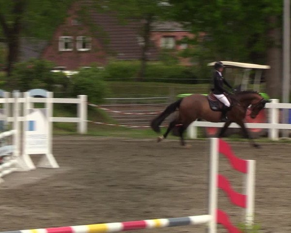 Reitturnier Mildstedt 2022