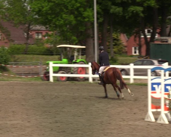 Reitturnier Mildstedt 2022