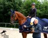 dressage horse Donna Saphira 3 (Mecklenburg, 2014, from Don Frederic 3)