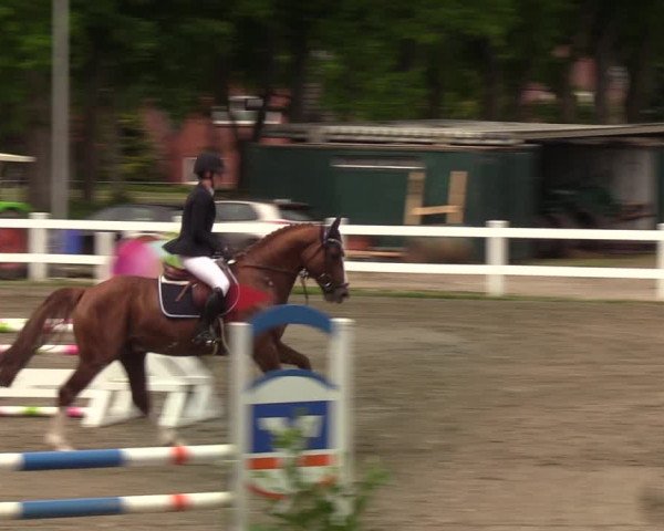 Reitturnier Mildstedt 2022