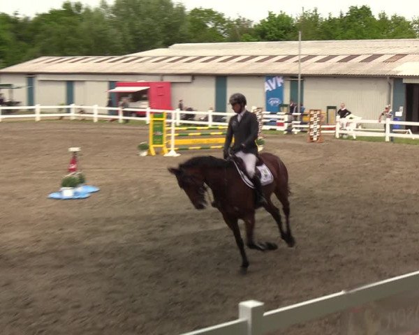 Reitturnier Mildstedt 2022