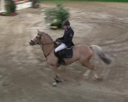 jumper Hokuspokus R (German Riding Pony, 2005, from Monte Christo)