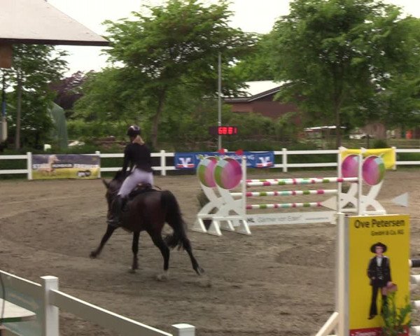 Reitturnier Mildstedt 2022
