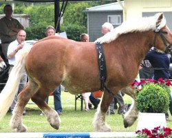 broodmare Marie (Rhenish-German Cold-Blood, 2004, from Marc)