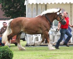 broodmare Aline (Westphalian, 1996, from Astor 9957)