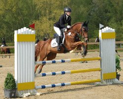 jumper Ronaldo 223 (German Riding Pony, 2009, from Rudolfo)