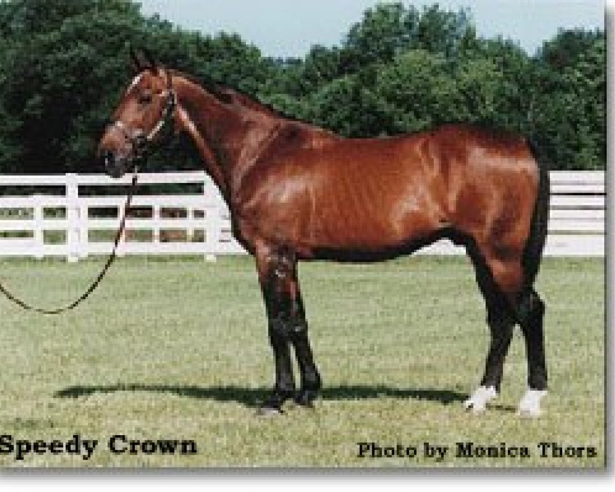 Deckhengst Speedy Crown 9498H (US) (Amerikanischer Traber, 1968, von Speedy Scot US-108446)