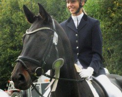 dressage horse Ritana 7 (Westphalian, 2006, from Riccio)