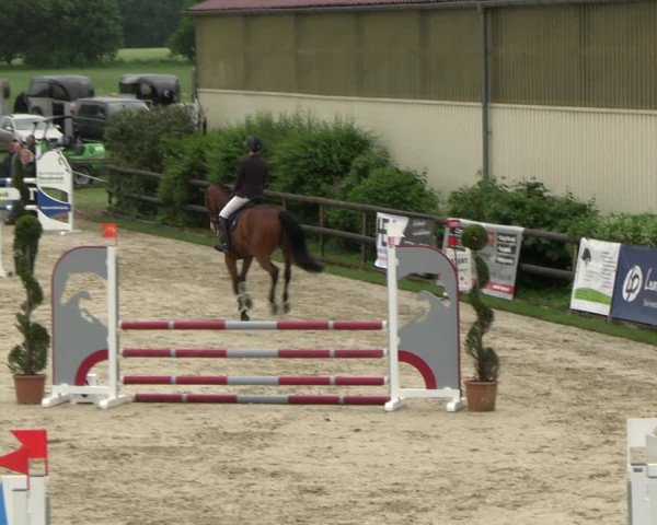 Reitturnier Kirchhellen/Stall Dieckmann 2022