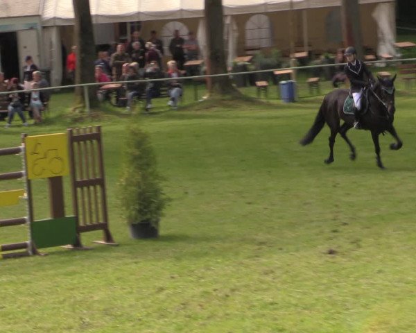 Reitturnier Helmsdorf 2022