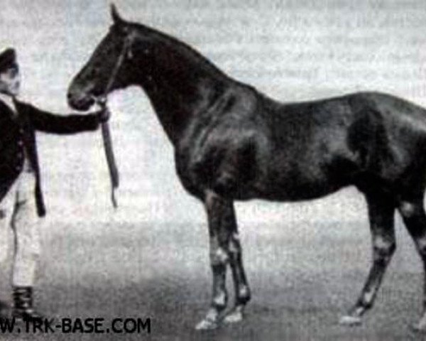 stallion Hector 1872 xx (Thoroughbred, 1872, from Virgilius 1858 xx)