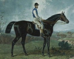 stallion The Colonel 1863 xx (Thoroughbred, 1863, from Knight of Kars xx)