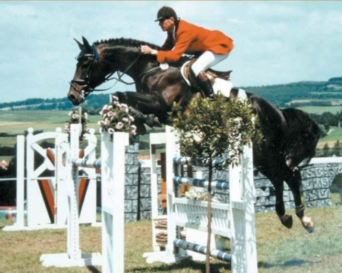 stallion Ragazzo (Bavarian, 1989, from Rasso)