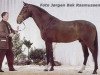stallion Ratio (Holsteiner, 1985, from Romino)
