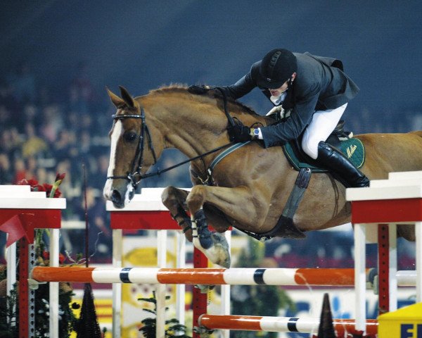 stallion Millar (Belgian Warmblood, 1989, from Quick d'Argentan)
