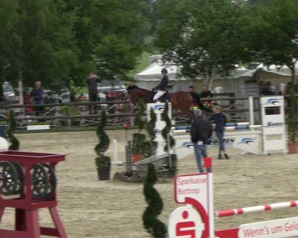 Reitturnier Kirchhellen/Stall Dieckmann 2022