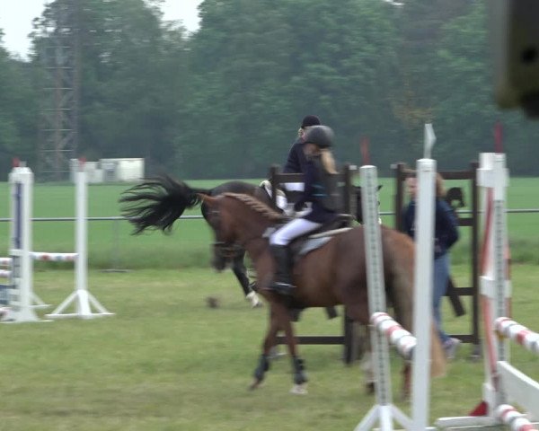 Reitturnier Alvern 2022